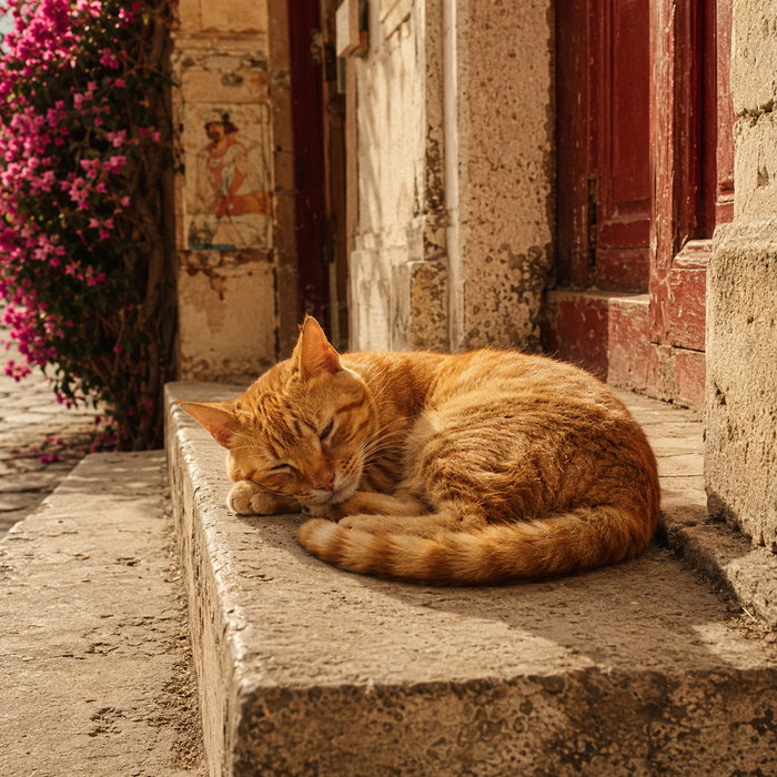 A ginger cat curled up asleep on a sunlit stone step beside a weathered red door and pink bougainvillea in Izmir.