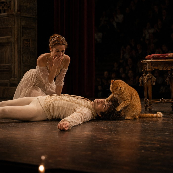Romeow reaching a paw toward the hair of the fallen Romeo on stage while Juliet kneels behind them with a hand over her mouth.